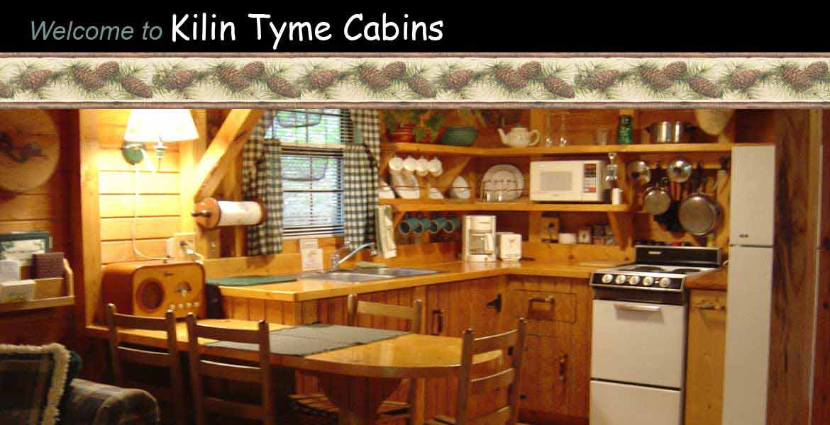 Kilin Tyme Cabins - kitchen